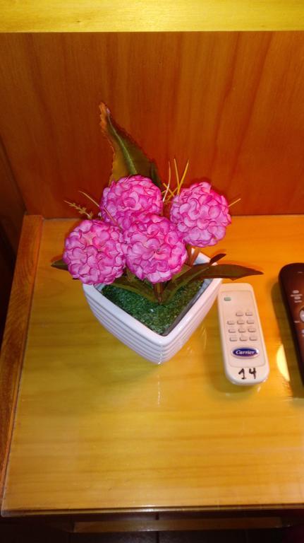 Hotel Ideal Montecarlo Ngoại thất bức ảnh